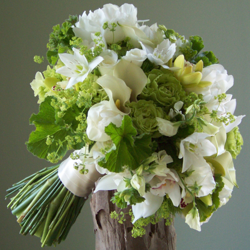 Bridal Bouquet with Eucharis lilies, ivory mini callas, white peonies, white sweet peas, white sweetheart roses, white and green mini cymbidiums, green hydrangea, Super Green roses, Green Trick dianthus, alchemilla, and scented geranium
