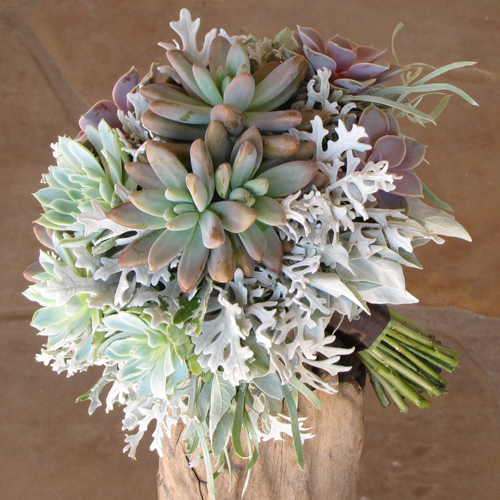 Hand-tied bridal bouquet with Echeveria Perle von Nurnberg, Echeveria Violet Queen, Pachyveria Blue Pearl and dusty miller
