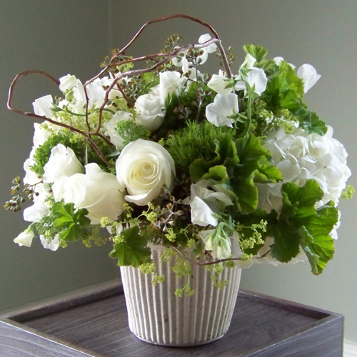 Centerpiece with white hydrangea, Polar Star roses, white sweet peas, white sweetheart roses, Green Trick dianthus, Jade trachellium, alchemilla, scented geranium, seeded eucalyptus and curly willow branches, in a recycled mache urn