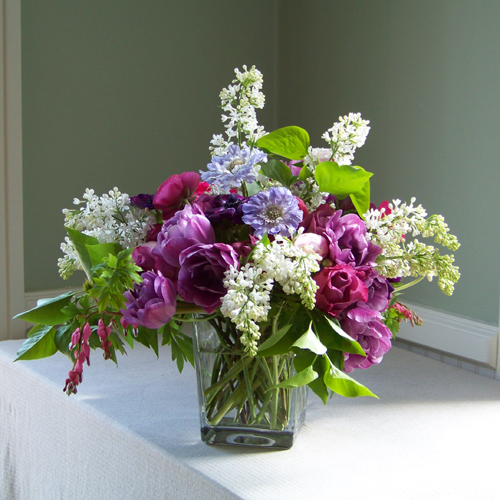 Square vase with blue scabiosa, purple anemone, purple double tulips, Maritim roses, hot pink ranunculus, bleeding hearts, pink peonies and white lilacs