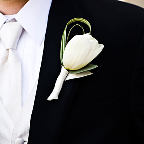 boutonniere with a Clear Water French tulip, variegated lily grass and eucalyptus foliage
