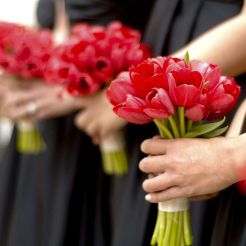 hand-tied bridesmaids bouquets with red Ile de France tulips
