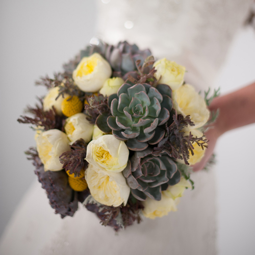 Hand-tied bridal bouquet with acacia, Echeveria shaviana 'Truffles', Echeveria 'Orion', dusty miller, craspedia, and Antique Romantica garden spray roses