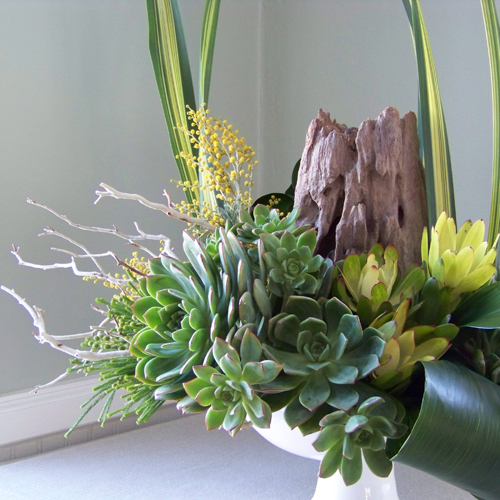 close up of arrangement with manzanita branches, a reclaimed wood stump, succulents, aspidistra, berzelia, leucadendron, acacia, and flax in a ceramic pedestal bowl