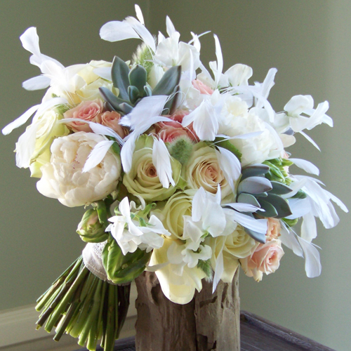 bridal bouquet with white sweetpeas, Polar Star roses, white peonies, white French tulips, green parrot tulips, bunny tail grass, succulents, scented geranium, Green Fashion roses, Star Blush spray roses, a linen and ivory lace stem wrap, and white eyelash feathers