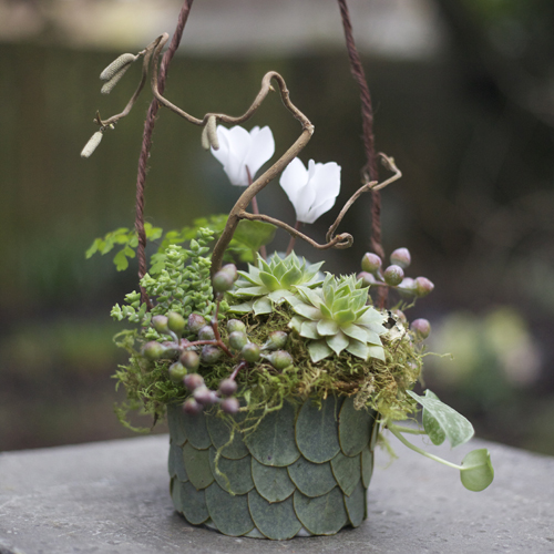 woodland flower girl basket with contorted filbert branches, white cyclamen, Philodendron 'Silver Cloud', maiden hair fern, seeded eucalyptus, aeonium, Crassula rupestris subsp. marnieriana, lichen and moss, in a eucalyptus leaf basket